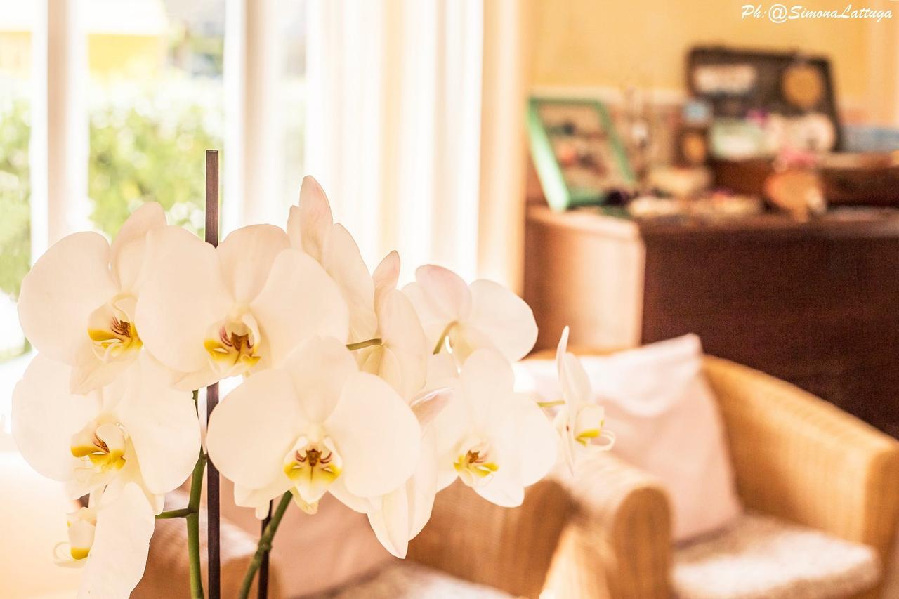 Hotel Ninfea Червия Экстерьер фото